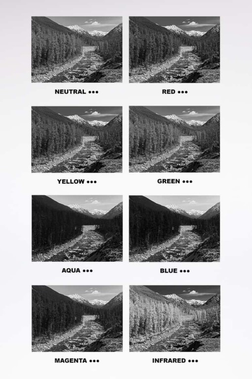 B&W Color Filters - Image 2
